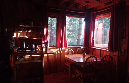 Lowville Cabin | Lion's Den Cabin at The King's Pines