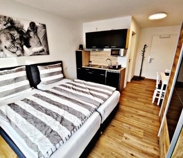 Heidenheim an der Brenz Apartment | Lions Place Premium Apartments BUSINESS optionaler Zugang zum SPA- Bereich
