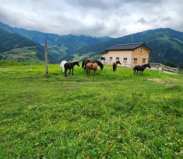 Rauris Apartment | Lipphütte Top Lage mit traumhafter Aussicht