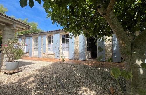 Domino House | Lisière de Forêt de Domino