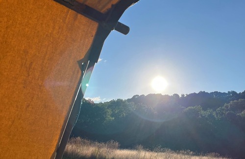 Cullompton RV Rental | Little bridge Camp.nSecluded camping in 13 acres of magical meadow and woodland.
