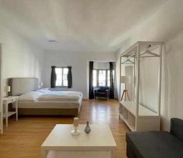 Innsbruck City Centre Apartment | Little City Center Golden Roof 12