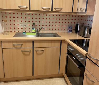 Innsbruck City Centre Apartment | Little City Center Golden Roof 12