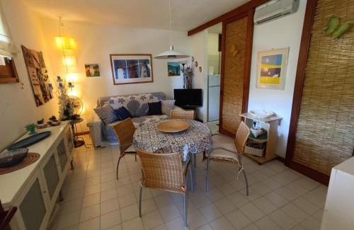 Portisco House | Little Emerald House