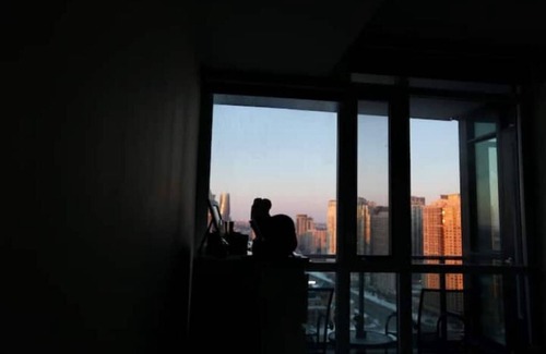 Downtown Mississauga Apartment | Little gem in the sky! Modern, Luxurious and Cozy.