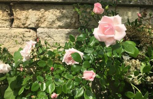 Frome House | Little Hideaway - Central Frome
