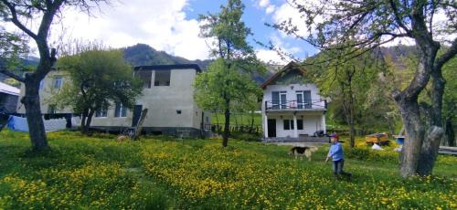 Bagvdanari House | Little house Katia Mestia