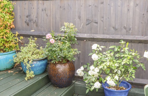 Ninfield Cottage | Little London
