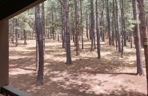 Angel Fire Condo | Little Mammoth Condo - Bike or 5 min walk to ski lifts!
