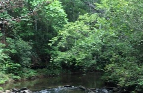 Menlo Cabin | Little River Hideaway at the Lookout