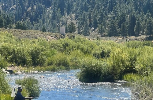 Sunnyside Cottage | Little Rock Cabin Tahoe City- Hot Tub, Pet Friendly, 1/2 mile walk to Lake Tahoe