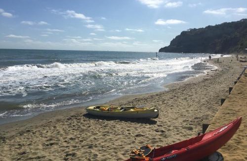 Shanklin Apartment | Little Treasure with up to 25 percent off ferry