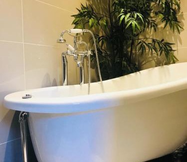 Dawlish Apartment | Little Weech