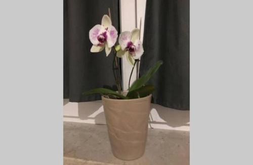 Lindenau Apartment | Live easy with balcony,Netflix, quiet, close to Football stadium, direct train connection, Espresso maker