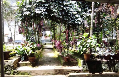 Valparai Hotel | LIVGRAND DEEPIKAS RESIDENCE VALPARAI