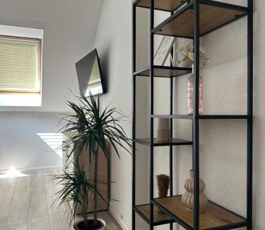 Schonebeck Apartment | Livoro