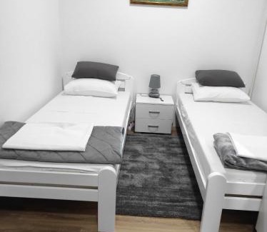 Banja Koviljaca Apartment | Ljeskovac