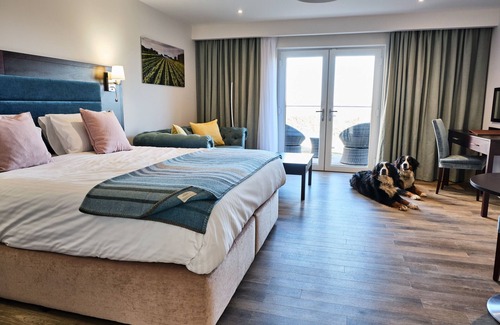 Hensol Hotel | Llanerch Vineyard Hotel