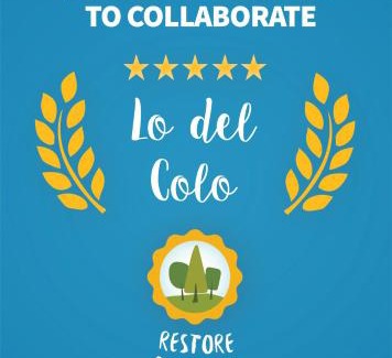 Canning House | Lo del Colo