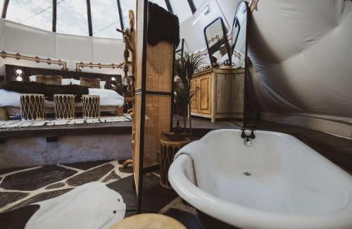 Nogal Other | Lobo Tipi at El Mistico Ranch
