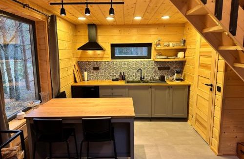 Vilnius County House | Local Forest