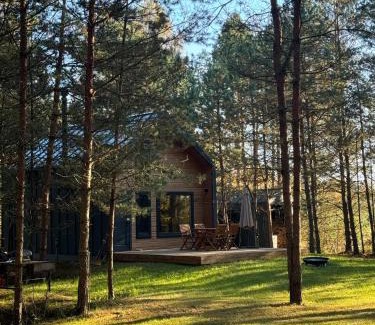 Vilnius County House | Local Forest
