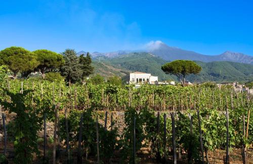 Zafferana Etnea Bed & Breakfast | Locanda Quinto Arco
