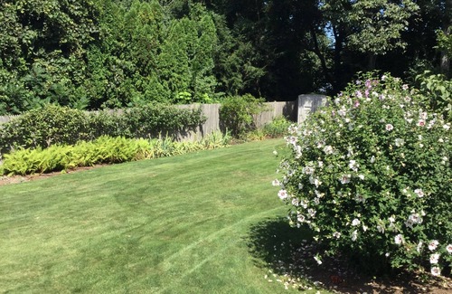 Woburn House | Located north of Boston/comfort and relaxation in your home away from home