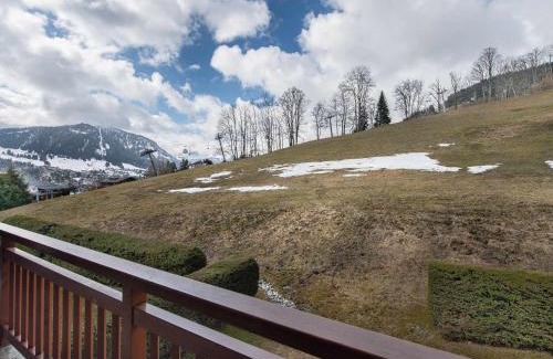 Megeve Apartment | Location Appartement 2 Chambres à Megève, Proche Télécabine Jaillet, Parking et Animaux Acceptés - FR-1-453-38