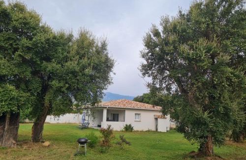 Morta Apartment | Location "Casa Monna"