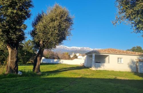 Morta Apartment | Location "Casa Monna"