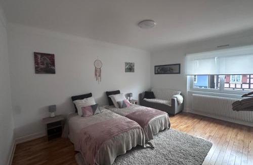 Horbourg-Wihr Apartment | Location chez marie