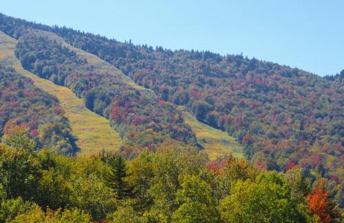 Sunday River Area House | Locke Mountain A6