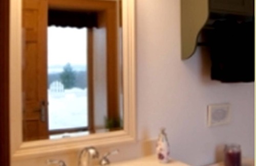 Baraboo Cabin | Lodge ∙ 1 bedroom ∙ 2 guests