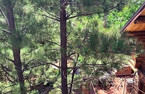 Snowline Cabin | Lodge ∙ 1 bedroom ∙ 3 guests