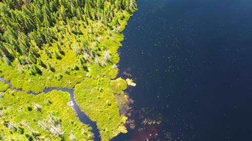 Madawaska Cabin | Lodge at Madawaska Ideal for Groups and hiking