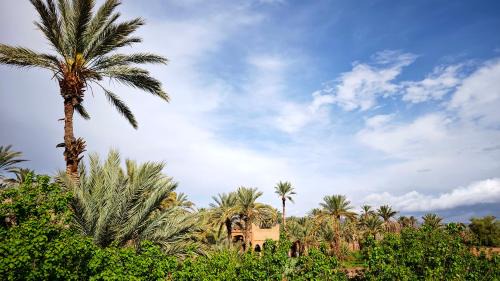 Mezguita Cabin | Lodge Hara Oasis