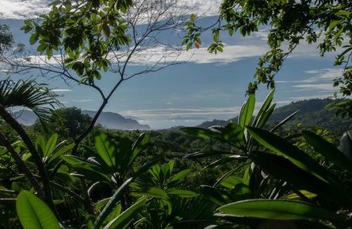 Paquera Bed & Breakfast | Lodge Margouillat