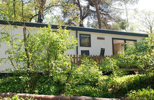Nunspeet Ski Chalet | Lodge Merel Nunspeet Veluwe