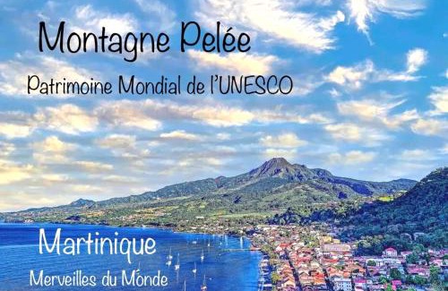 Le Carbet House | LODGE PAMPLEMOUSSE avec PISCINE privative , dans parc calme à 500 m plage