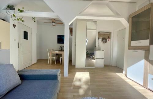 Wzgorze Swietego Maksymiliana Apartment | Loft Art Apartment