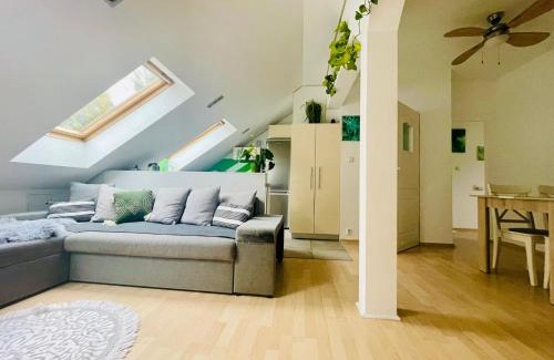 Wzgorze Swietego Maksymiliana Apartment | Loft Art Apartment