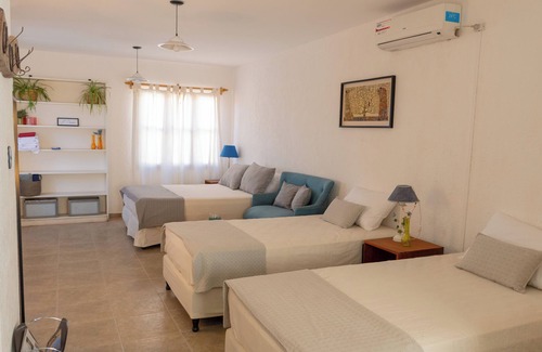 Chacras de Coria Apartment | Loft en los Caminos del Vino