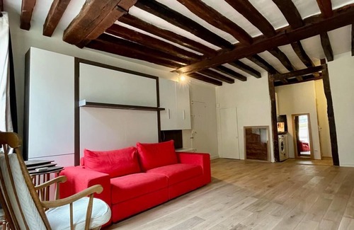 3rd Arrondissement Apartment | Loft in the heart of the marsh