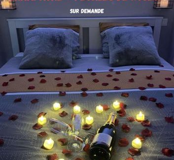 Bressuire Apartment | LOFT Jardin et Spa