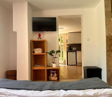 Sassenage Apartment | Loft sympa à Sassenage