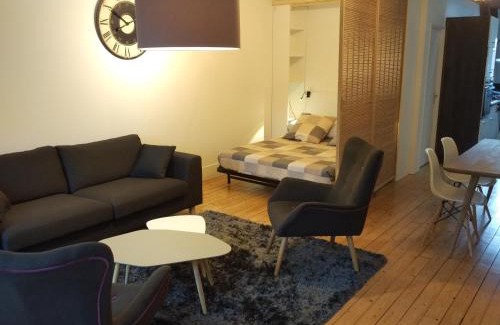 Centre Sud Apartment | Loft Zola