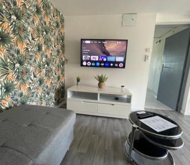 Cornebarrieu Apartment | Loftimeet