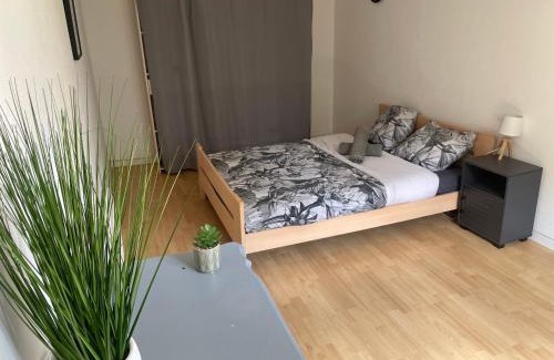 Cornebarrieu Apartment | Loftimeet