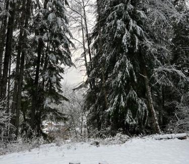 Ashford Other | Log Cabin at Rainier Lodge (0.4 miles from entrance)